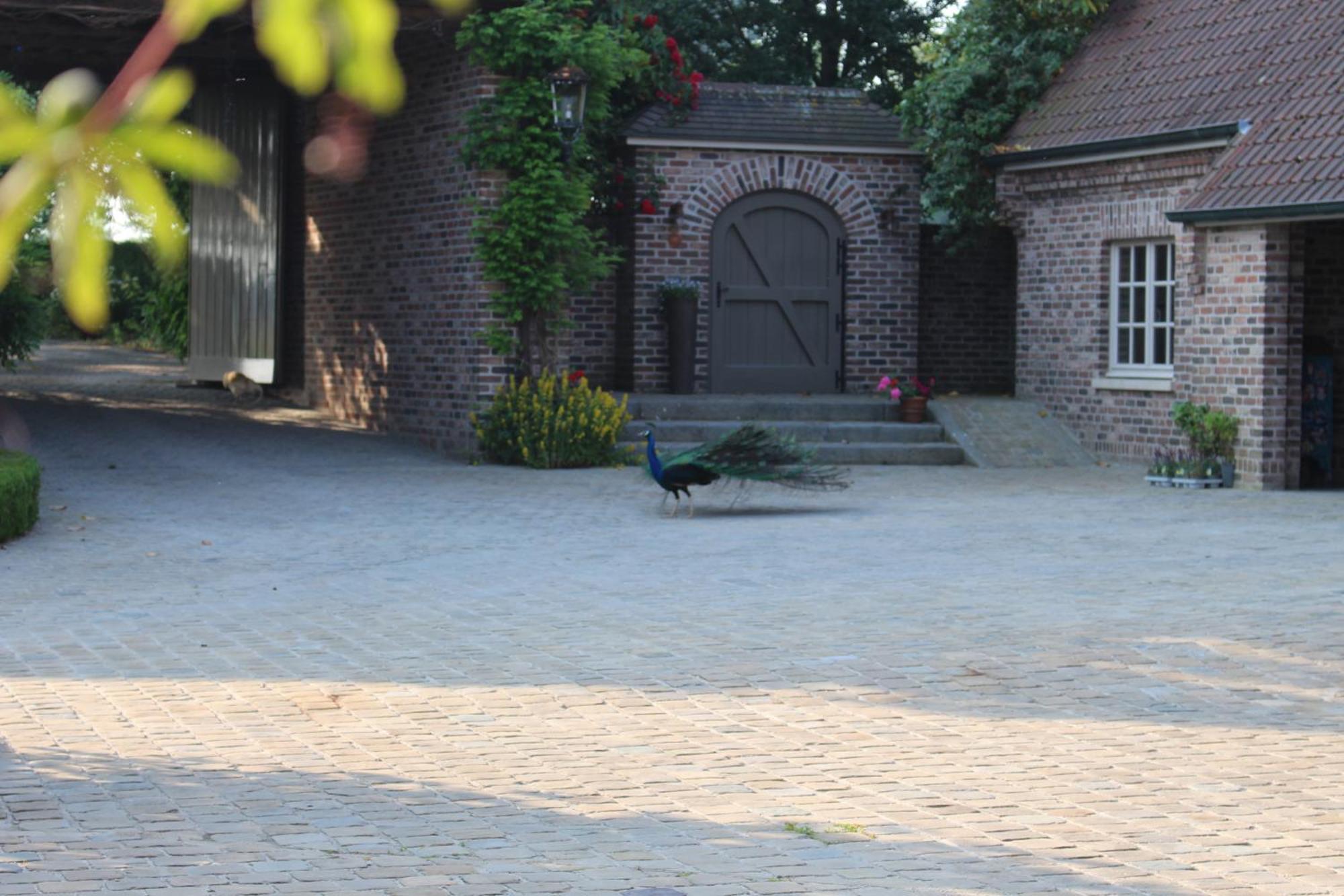 Imagine B&B Wortegem Екстериор снимка